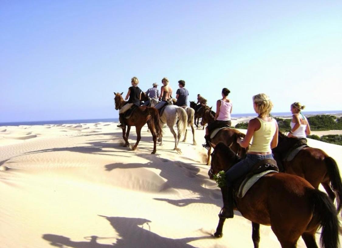 Tiptol Couple'S Retreat Διαμέρισμα Jeffreys Bay Εξωτερικό φωτογραφία